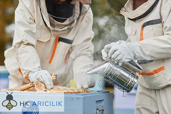 Arıcılık Nedir?